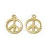 Rack Plating Brass Charms KK-C007-08G-2