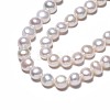 Natural Cultured Freshwater Pearl Beads Strands PEAR-N014-07B-4
