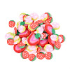 Handmade Polymer Clay Cabochons CLAY-N013-04-2