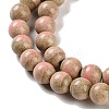 Natural Rainbow Alashan Agate Beads Strands G-NH0022-A03-01-4