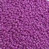 Baking Paint Glass Seed Beads SEED-US0003-2mm-K21-3