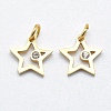 316 Surgical Stainless Steel Pendants STAS-K178-01A-G-1