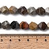 Natural Picasso Jasper Beads Strands G-Z119-A25-03-6