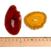 Dyed & Heated Natural Agate Slice Big Pendants GG-CBAAF67-02-3