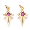 Brass Micro Pave Cubic Zirconia Charms ZIRC-G168-53G-03-1