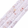 Natural Quartz Crystal Beads Strands LS-G-L581A-003B-1