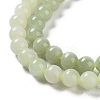 Natural Nephrite Jade Beads Strands G-NH0005-030B-4