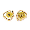 304 Stainless Steel Epoxy Resin Pendants STAS-T072-28-3