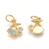 Brass Charms ZIRC-L070-79-3
