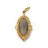 Natural Labradorite Pendants STAS-A104-08G-02-1