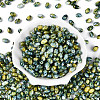 Glass Seed Beads SEED-T009-02E-1