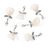 Angel Shell & Acrylic Pendant Decorations HJEW-TA00198-3