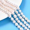 Natural Nucleated Pearl Keshi Pearl Beads Strands PEAR-S020-F12-1