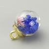Transparent Glass Globe Pendants LS-GLAA-TAC0005-002E-2