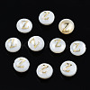 Natural Freshwater Shell Beads SHEL-S278-036Z-1