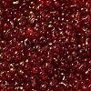 Spray Painted Glass Seed Beads SEED-F005-11A-04-3
