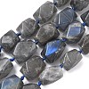 Natural Labradorite Beads Strands G-C270-F01-2