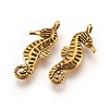 Tibetan Style Alloy Charms TIBEP-A19239-AG-RS-2