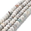 Natural Dyed Agate Imitation Turquoise Beads Strands G-P425-01B-01A-1
