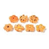 Opaque Resin Imitation Food Decoden Cabochons RESI-S396-18-1