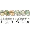 Natural Green Fluorite Beads Strands G-R190-10mm-47-5