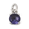 Birthdaystone Theme February 304 Stainless Steel Charms STAS-B128-60P-02-1