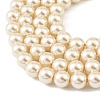 Preciosa® MAXIMA Crystal Nacre Pearls Y-PRC-NPA8-77500-4