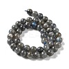 Natural Labradorite Beads Strands G-S333-8mm-035-5