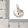Rack Plating Brass Clear Cubic Zirconia Charms KK-Z056-29P-3