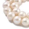 Natural Cultured Freshwater Pearl Beads Strands PEAR-C003-22B-3
