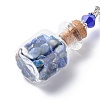 7 Chakra Tumbled Gemstone Chips Filling Wishing Bottle Pendant Decorations HJEW-JM00779-4