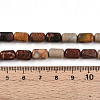 Natural Picasso Jasper/Polychrome Jasper Beads Strands G-N346-01B-05-5