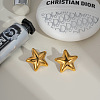 Stainless Steel Star Stud Earrings for Women DE2446-2-2