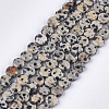 Natural Dalmatian Jasper Beads Strands G-S354-17-1