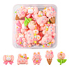 20Pcs 5 Styles Thanksgiving Day Theme Cartoon Opaque Resin Cabochons RESI-FS0001-51-1