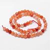 Natural Carnelian Beads Strands G-D840-34-6mm-2