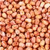 Picasso Glass Seed Beads SEED-N012-10C-3
