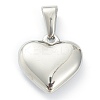 304 Stainless Steel Pendants LS-STAS-P278-01C-P-2