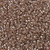 MIYUKI Delica Beads SEED-X0054-DB0102-3