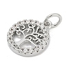 Brass Micro Pave Clear Cubic Zirconia Charms KK-G522-46P-3