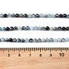 Natural Devil Blue Aquamarine Beads Strands G-K376-A06-4mm-5