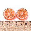 Resin Imitation Fruit Model DJEW-G047-01C-3