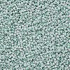 11/0 FGB Grade A Ceylon Glass Seed Beads X-SEED-N001-B-0487-2