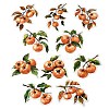 10Pcs Fruit PET Self-Adhesive Stickers DIY-K074-08F-2