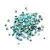 Dyed & Heated Natural Magnesite Chip Beads G-L453-01-3
