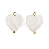 Natural Shell Heart Pendants STAS-D378-34G-1