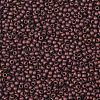 TOHO Round Seed Beads X-SEED-TR11-0222F-2