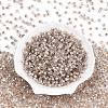 Glass Seed Beads SEED-N007-01J-2