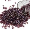 TOHO 8/0 Round Beads SEED-TR08-0166B-1
