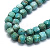 Natural HuBei Turquoise Beads Strands G-G106-G01-02-3